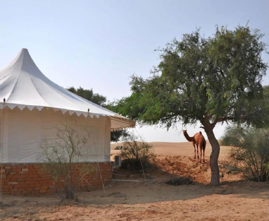 Wild Heritage Desert Camp Hotell Jaisalmer Exteriör bild